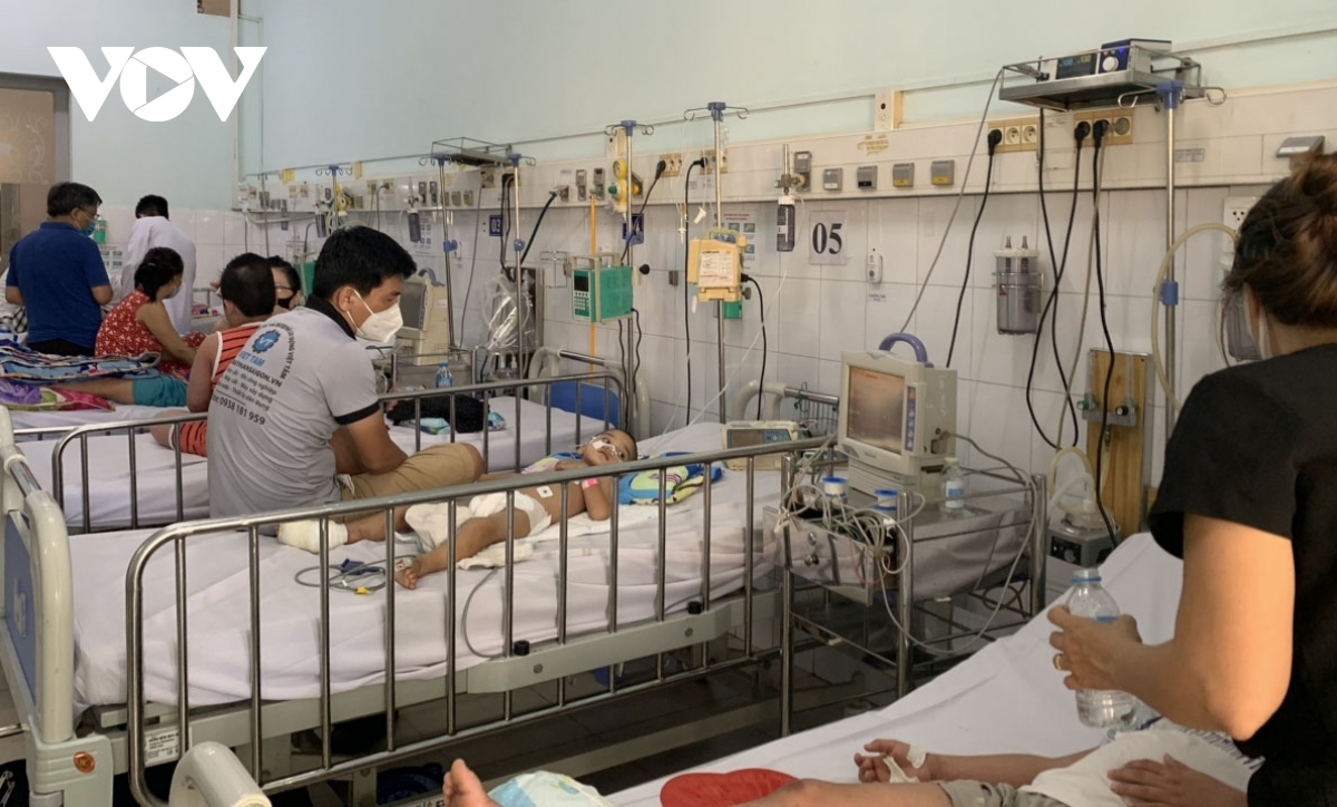 Dengue fever cases surge in Hanoi following period of downpours